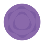 T2