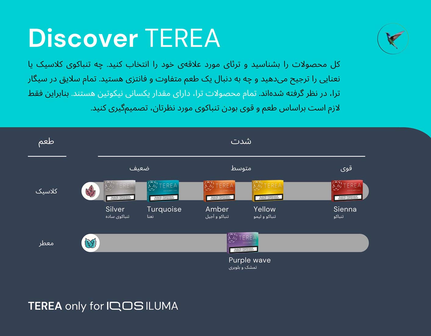 سری آیکاس ایلوما و ایلوما آی 27 2 3